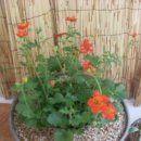 동의중학교 이미지