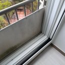 클린센스 이미지