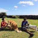 옥희농장 이미지