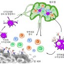 K파마세상 이미지