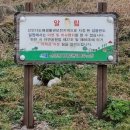 가거도초등학교신안흑산중학교가거도분교장 | 전남 신안 가거도 백패킹(ep.1)