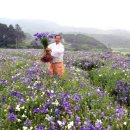 ㈜장생도라지 이미지