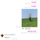 새마을알뜰매장혼디모앙영농조합법인 | 내가 보수점검할게 언니는 제주도 계획이나 짜. 응.