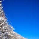 파란목장 이미지