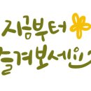 유씨네기정떡