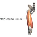 터닝포인트필라테스 네이버블로그