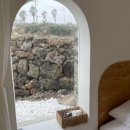 신흥늦장 이미지