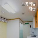 도곡리빙캐슬고시원