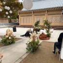 아델라 | 아델라한옥 결혼식 후기 식순&amp;사회자 대본 나눔