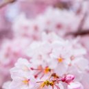 김포한강어린이집 이미지