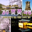 4월4일 일요산행 - 경주 남산 벚꽃길 이미지
