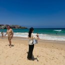 마운틴마트 LC타워점 | 시드니 7박9일 여행 4-5일차 : 싱글오, 블루마운틴, 본다이비치, 오페라하우스