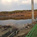 금암저수지 이미지