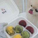 멍소담 | [경남양산 멍소담]나도 두쫀쿠 먹었다!! 근데 엄마가 만들어준 멍쫀쿠