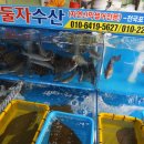 둘자수산 이미지