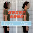 버스정류소_명덕고등학교.웰튼병원 | 마곡동 필라테스 리플 바레 마곡나루본점 필라테스 플레이스 회원권 가격 한눈에