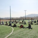 부룡체육관 이미지