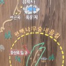 경주 건천 편백나무숲 내음길