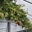 모실농장 이미지