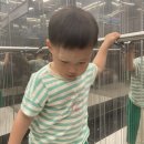 청구어린이집 | 어린이집안전공제회 향후치료비 보상 청구 정산 방법