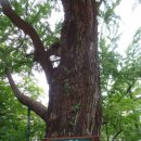 기억의대지 이미지