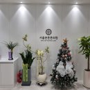 서울본튼튼정형외과의원 이미지