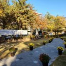 박경리문학공원 이미지