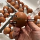 양촌농원 2농장 이미지