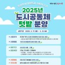 서구-17 로컬투데이