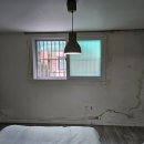 정석크리닉 이미지