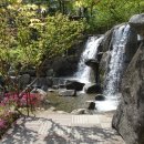 행복한 산책 이미지