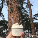 자매초두부 | 강릉여행 꼭 먹어야 할 베스트3 :: 동화가든, 순두부젤라또, 카페 툇마루 (웨이팅 꿀팁)