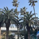 히든자왈 | 제주 감성 숙소 성산일출봉 종달리 독채펜션 히든자왈 후기 야쿠지