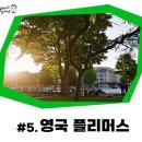[필름 사진] 제15 장 글래스톤베리 페스티벌 2022 후기 5편_영국 해양 무역의 중심지 플리머스로.