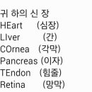 은어화장실 이미지