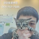 표선동물병원 이미지