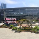 정관장주문진점 | 첫 직관 롯데자이언츠 vs SSG 랜더스 개막 직관후기, 레드 컬러프라이스 긴팔 바람막이 배포 중앙상단석...