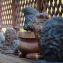 수석 농장 이미지