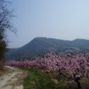 시골풍경 이미지