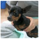 세이에너지 이미지