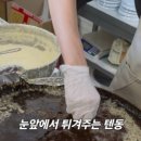 쿠로텐