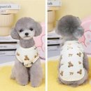 강아지봄 이미지