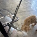 오미네커피 이미지