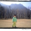 4242민박 이미지