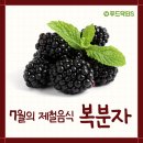 세종황제슈퍼 이미지