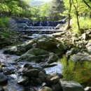 용현리 마을회관 화장실 이미지