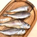 삼면이바다since1991