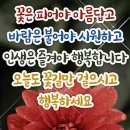 병원이 없는나라 어느나라 일까요? 이미지