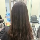 멍멍이 미용실 | 홍대입구 미용실 새벽 뿌리펌 레이어드컷 후기