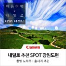 F8 | 여름 내일로 여행 추천 코스 - 강원도 편